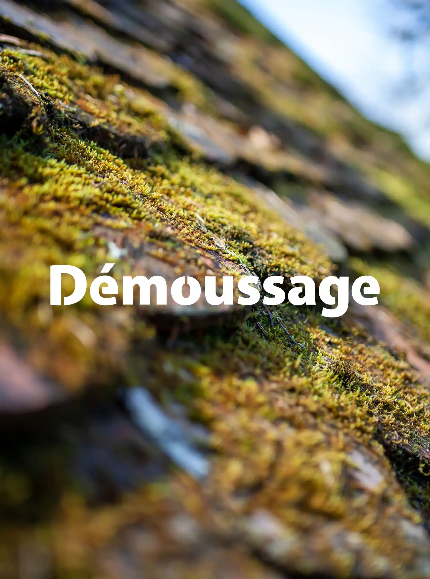 Démoussage couverture 86
